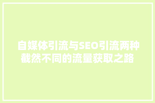 自媒体引流与SEO引流两种截然不同的流量获取之路