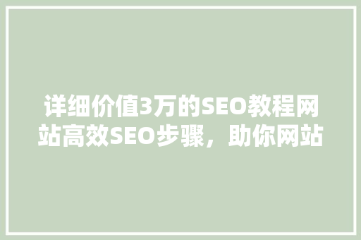 详细价值3万的SEO教程网站高效SEO步骤，助你网站排名跃升  第1张
