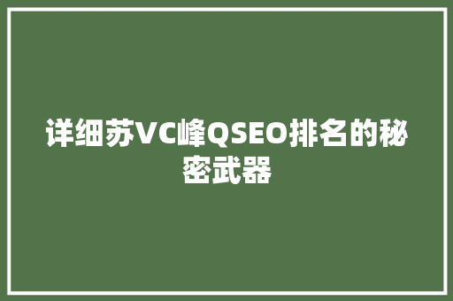 详细苏VC峰QSEO排名的秘密武器
