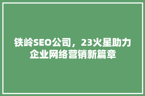 铁岭SEO公司，23火星助力企业网络营销新篇章