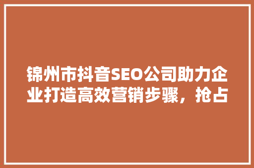 锦州市抖音SEO公司助力企业打造高效营销步骤，抢占市场先机