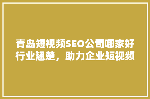 青岛短视频SEO公司哪家好行业翘楚，助力企业短视频营销腾飞