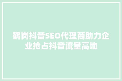鹤岗抖音SEO代理商助力企业抢占抖音流量高地