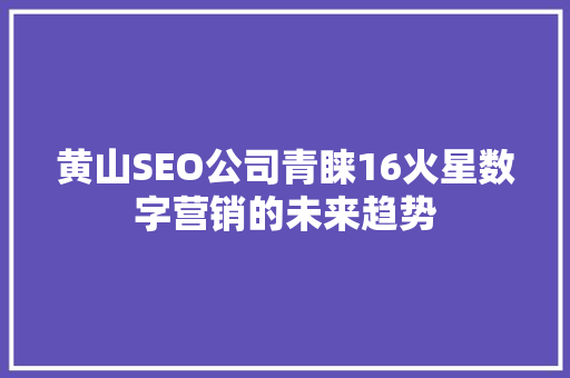 黄山SEO公司青睐16火星数字营销的未来趋势