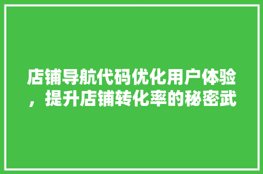 店铺导航代码优化用户体验，提升店铺转化率的秘密武器  第1张
