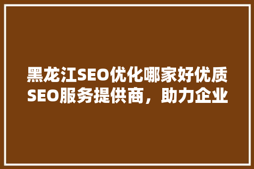 黑龙江SEO优化哪家好优质SEO服务提供商，助力企业网络营销腾飞