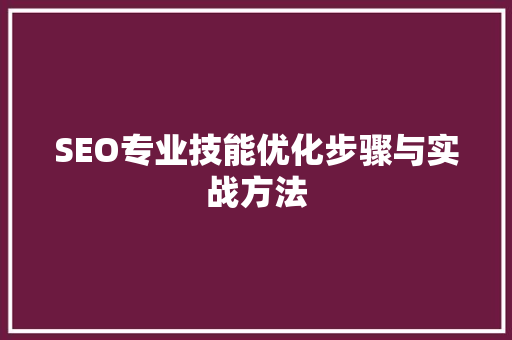 SEO专业技能优化步骤与实战方法