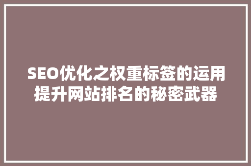 SEO优化之权重标签的运用提升网站排名的秘密武器