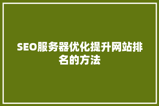 SEO服务器优化提升网站排名的方法