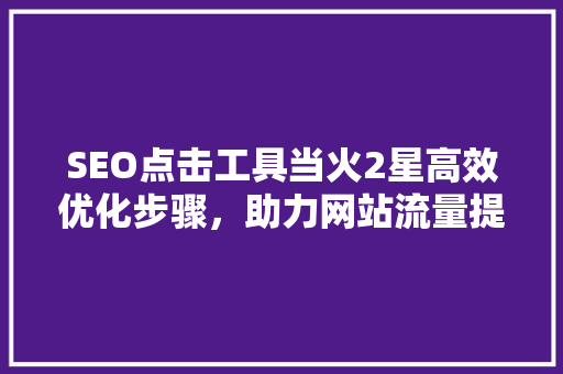 SEO点击工具当火2星高效优化步骤，助力网站流量提升
