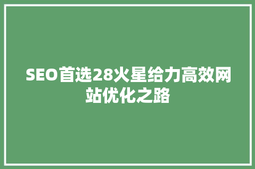 SEO首选28火星给力高效网站优化之路