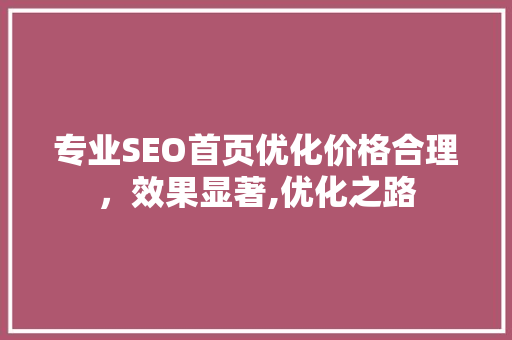 专业SEO首页优化价格合理，效果显著,优化之路