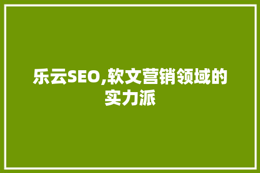 乐云SEO,软文营销领域的实力派