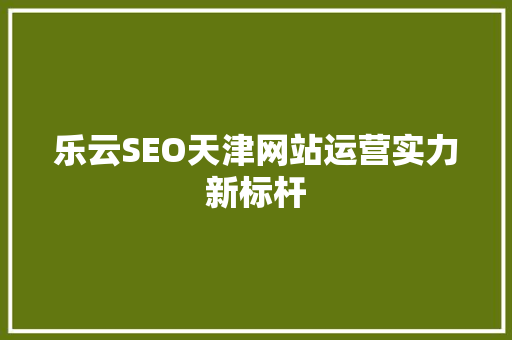 乐云SEO天津网站运营实力新标杆