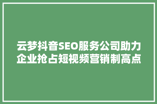 云梦抖音SEO服务公司助力企业抢占短视频营销制高点