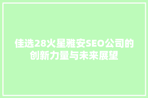 佳选28火星雅安SEO公司的创新力量与未来展望