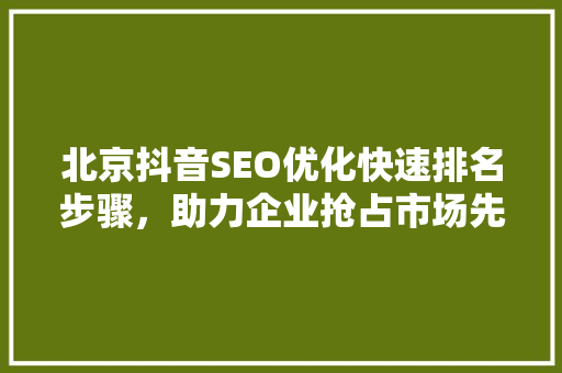 北京抖音SEO优化快速排名步骤，助力企业抢占市场先机