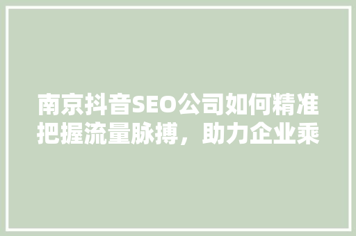 南京抖音SEO公司如何精准把握流量脉搏，助力企业乘风破浪