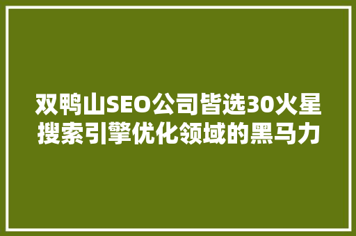 双鸭山SEO公司皆选30火星搜索引擎优化领域的黑马力量