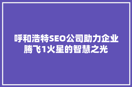 呼和浩特SEO公司助力企业腾飞1火星的智慧之光