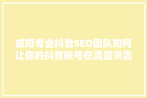 咸阳专业抖音SEO团队如何让你的抖音账号在流量洪流中脱颖而出