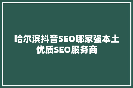 哈尔滨抖音SEO哪家强本土优质SEO服务商