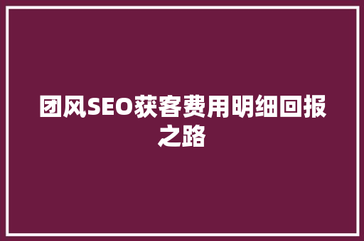团风SEO获客费用明细回报之路