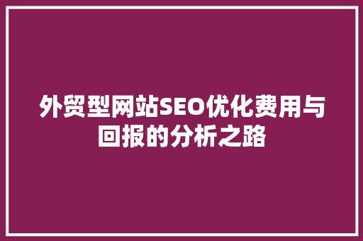 外贸型网站SEO优化费用与回报的分析之路
