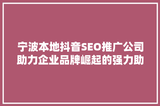 宁波本地抖音SEO推广公司助力企业品牌崛起的强力助手