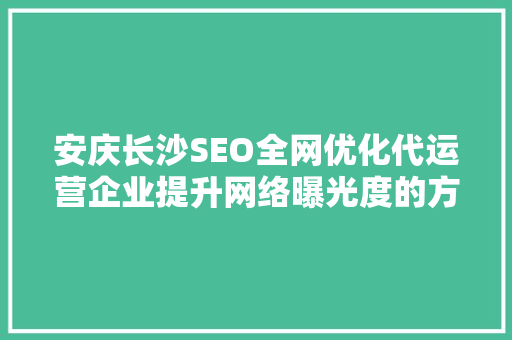 安庆长沙SEO全网优化代运营企业提升网络曝光度的方法