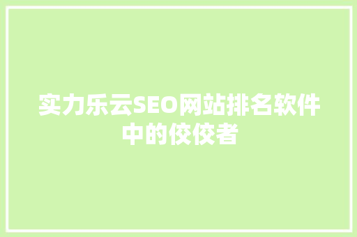 实力乐云SEO网站排名软件中的佼佼者