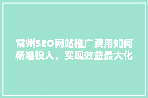 常州SEO网站推广费用如何精准投入，实现效益最大化