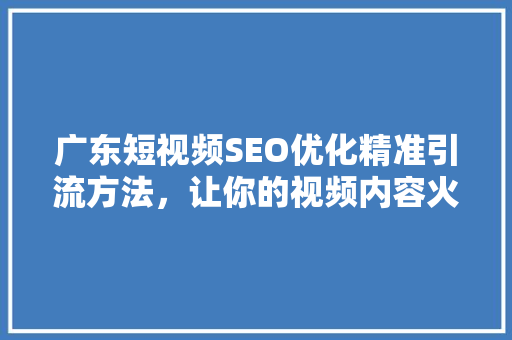 广东短视频SEO优化精准引流方法，让你的视频内容火遍全网