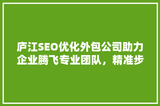 庐江SEO优化外包公司助力企业腾飞专业团队，精准步骤，打造高效网络营销