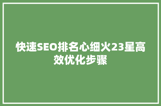 快速SEO排名心细火23星高效优化步骤