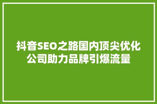 抖音SEO之路国内顶尖优化公司助力品牌引爆流量
