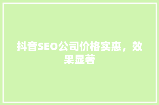 抖音SEO公司价格实惠，效果显著