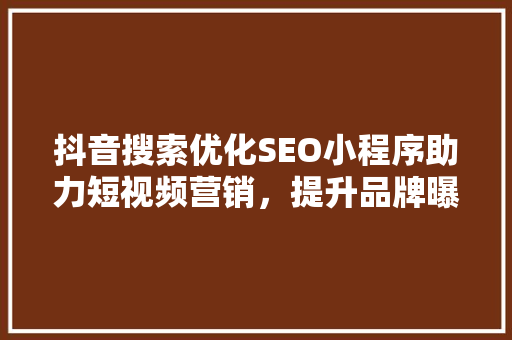 抖音搜索优化SEO小程序助力短视频营销，提升品牌曝光度