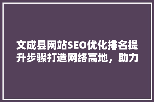 文成县网站SEO优化排名提升步骤打造网络高地，助力县域发展