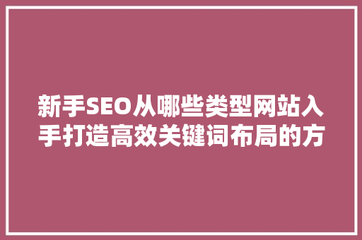新手SEO从哪些类型网站入手打造高效关键词布局的方法
