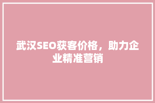 武汉SEO获客价格，助力企业精准营销