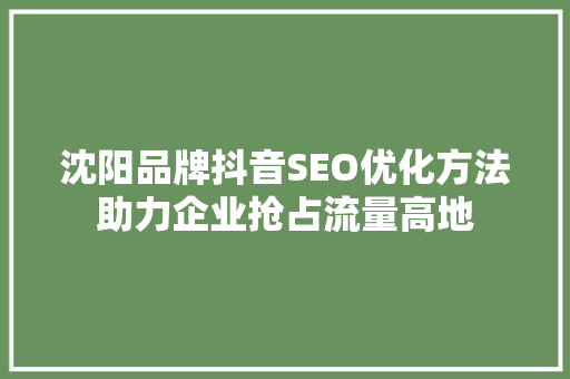 沈阳品牌抖音SEO优化方法助力企业抢占流量高地