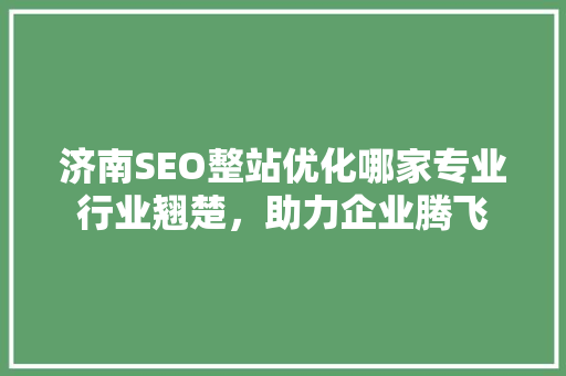 济南SEO整站优化哪家专业行业翘楚，助力企业腾飞