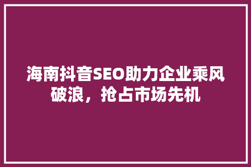海南抖音SEO助力企业乘风破浪，抢占市场先机