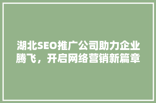 湖北SEO推广公司助力企业腾飞，开启网络营销新篇章