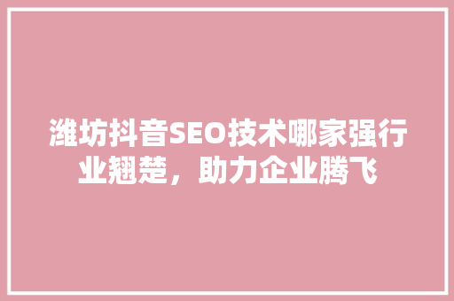 潍坊抖音SEO技术哪家强行业翘楚，助力企业腾飞