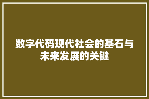 数字代码现代社会的基石与未来发展的关键