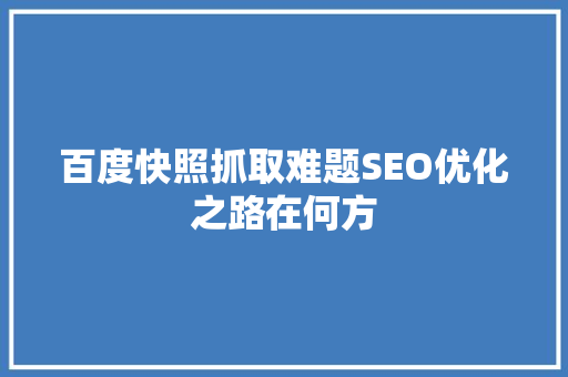 百度快照抓取难题SEO优化之路在何方