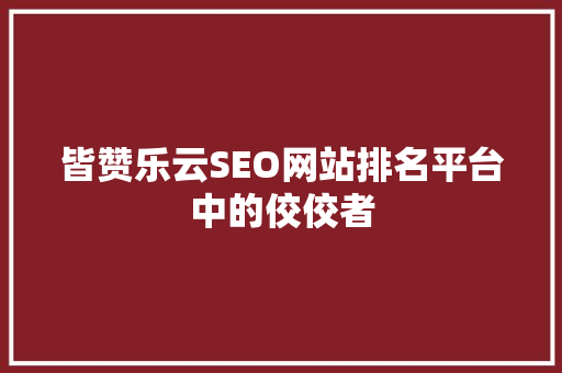 皆赞乐云SEO网站排名平台中的佼佼者