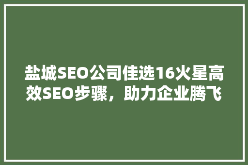 盐城SEO公司佳选16火星高效SEO步骤，助力企业腾飞